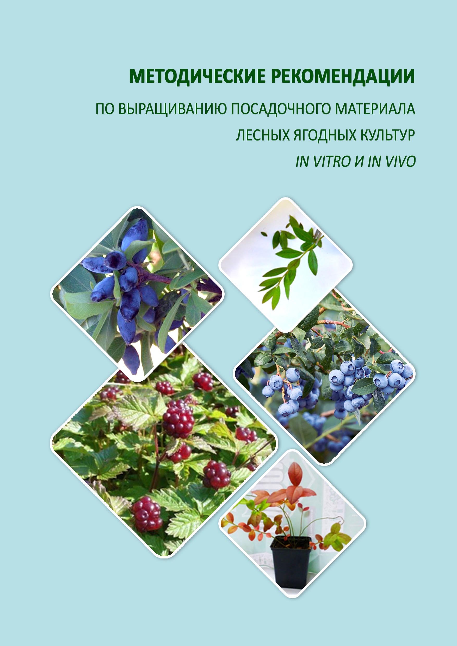 Методические рекомендации по выращиванию посадочного материала лесных ягодных культур in vitro и in vivo