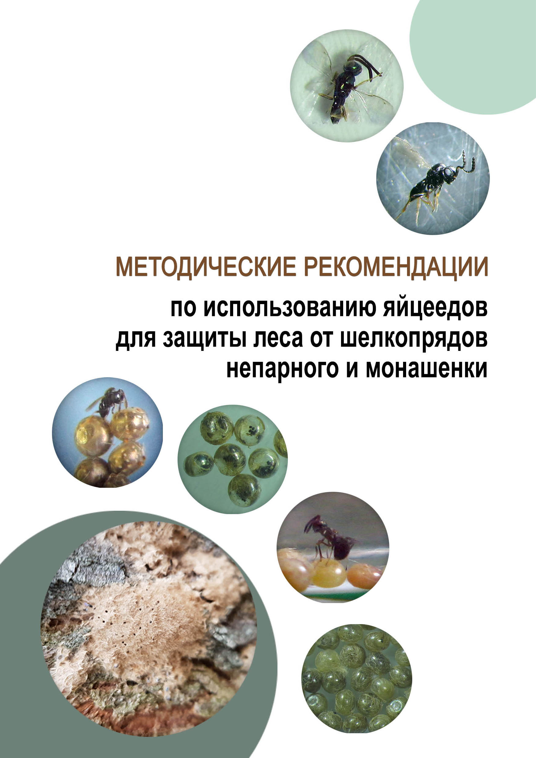Методические рекомендации по использованию яйцеедов для защиты леса от шелкопрядов непарного и монашенки
