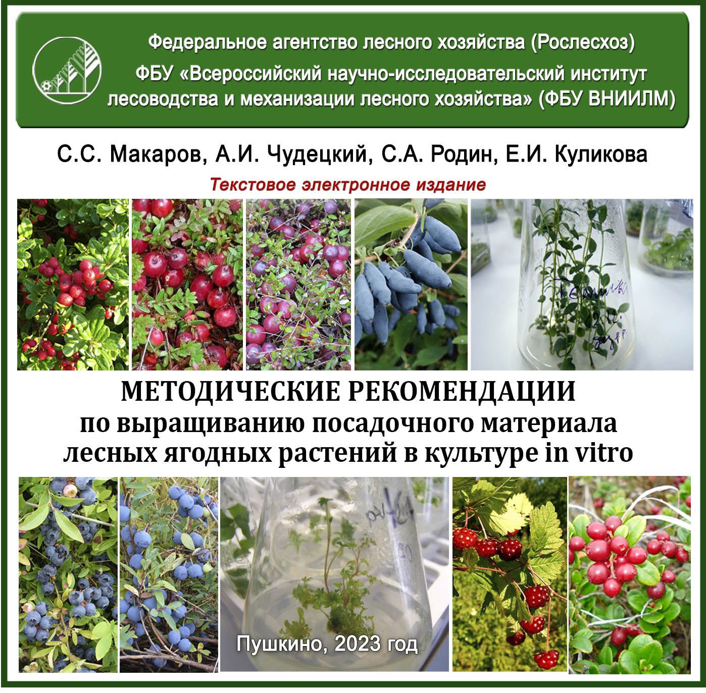 Методические рекомендации по выращиванию посадочного материала лесных ягодных растений в культуре in vitro