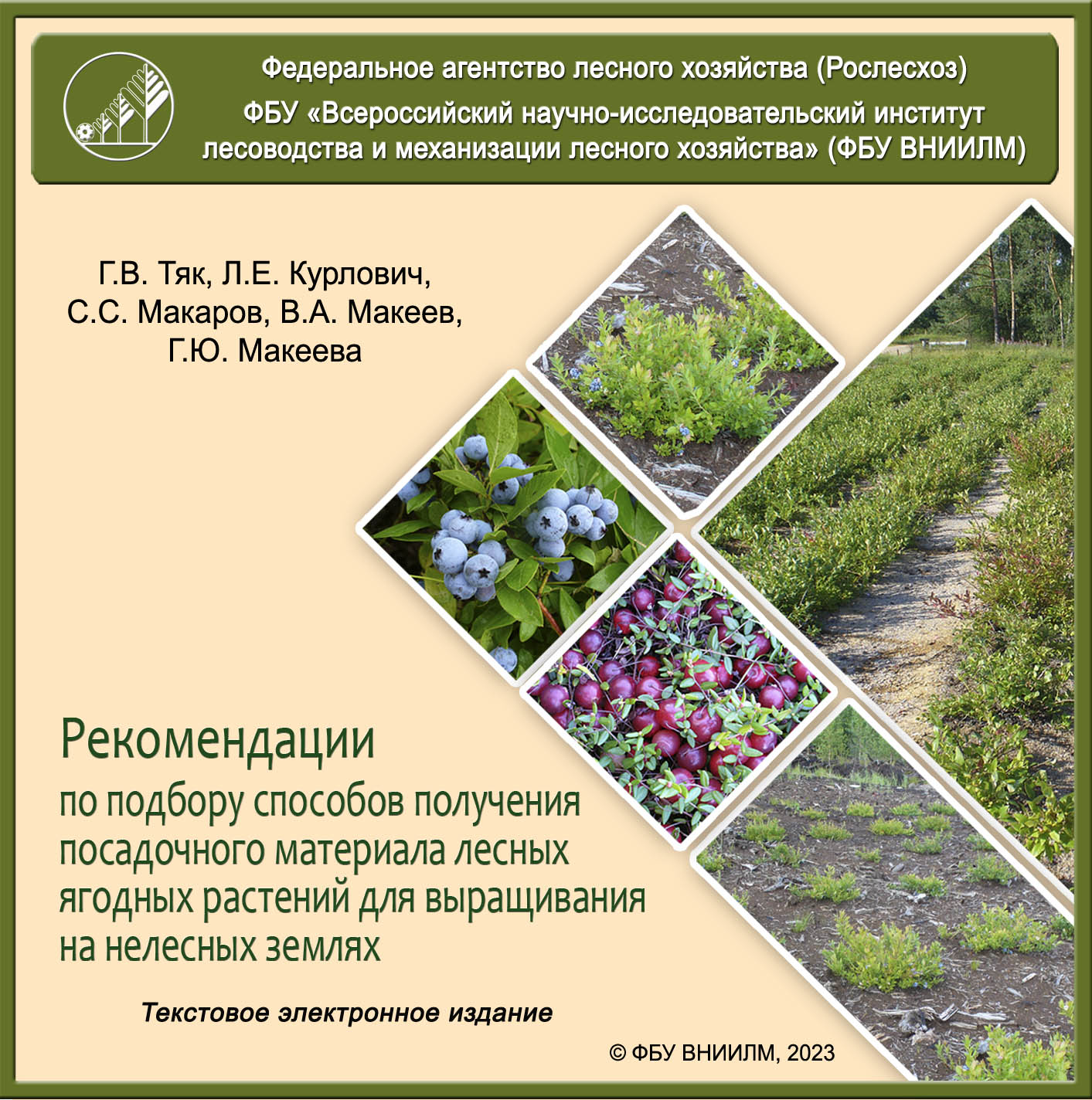 Рекомендации по подбору способов получения посадочного материала лесных ягодных растений для выращивания на нелесных землях
