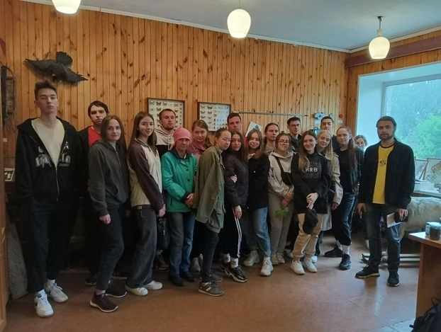 В музее леса