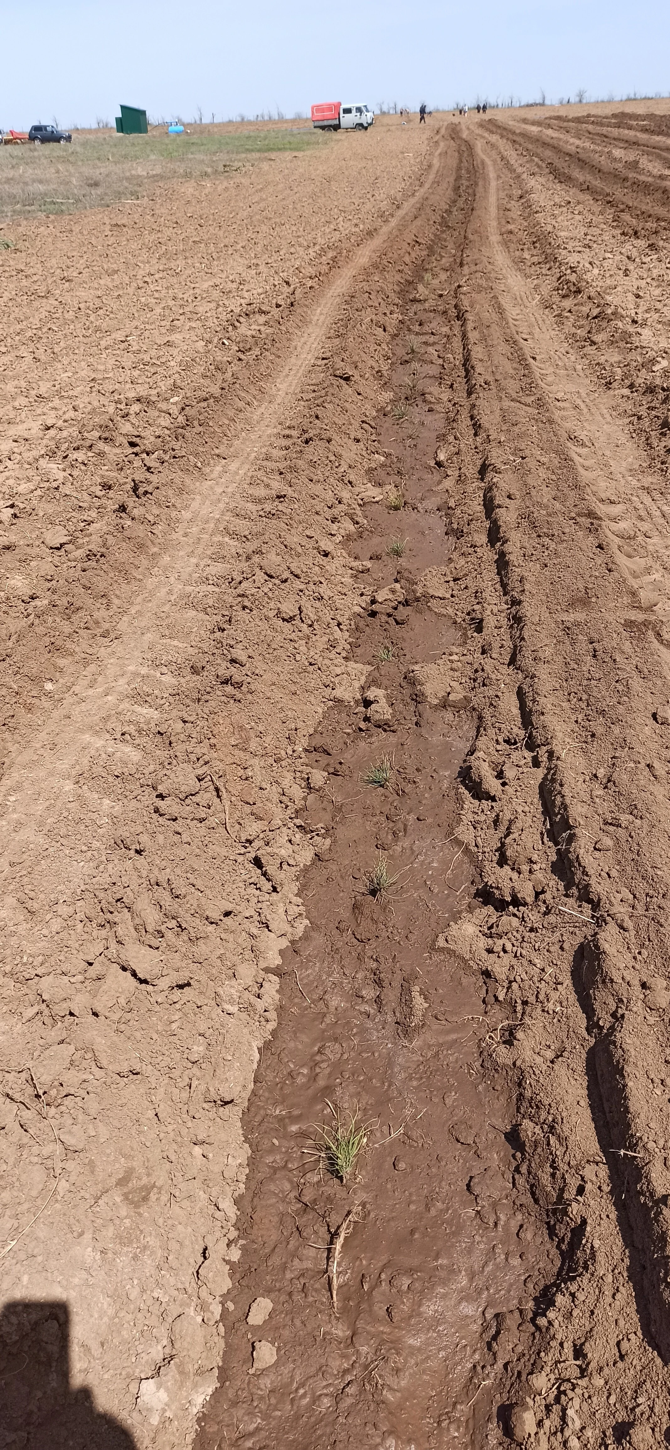 Готовые посадки