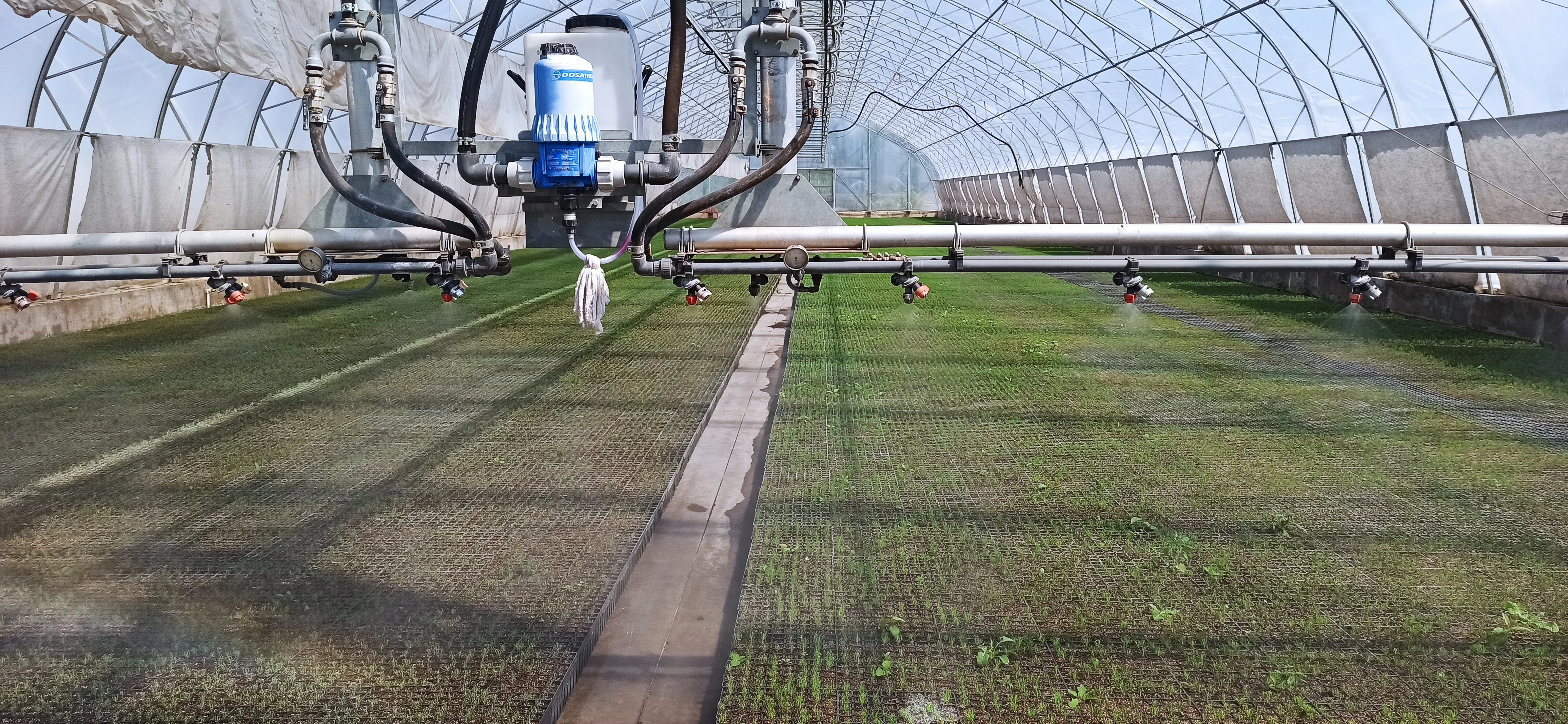 ГБУ ВО «Воронежский лесной селекционно-семеноводческий центр»