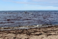 Возвращение по большой воде