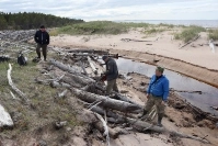 Скопление плавника в заливе