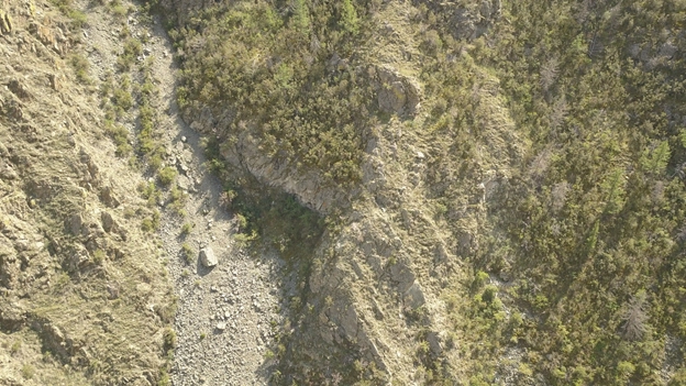 Процесс лесообразования на склонах