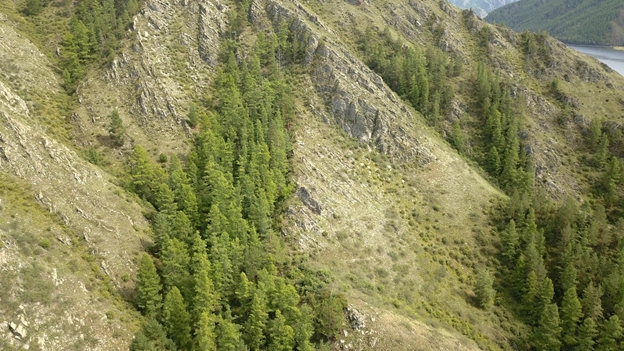 Зарастание склона по логам, Усинский залив