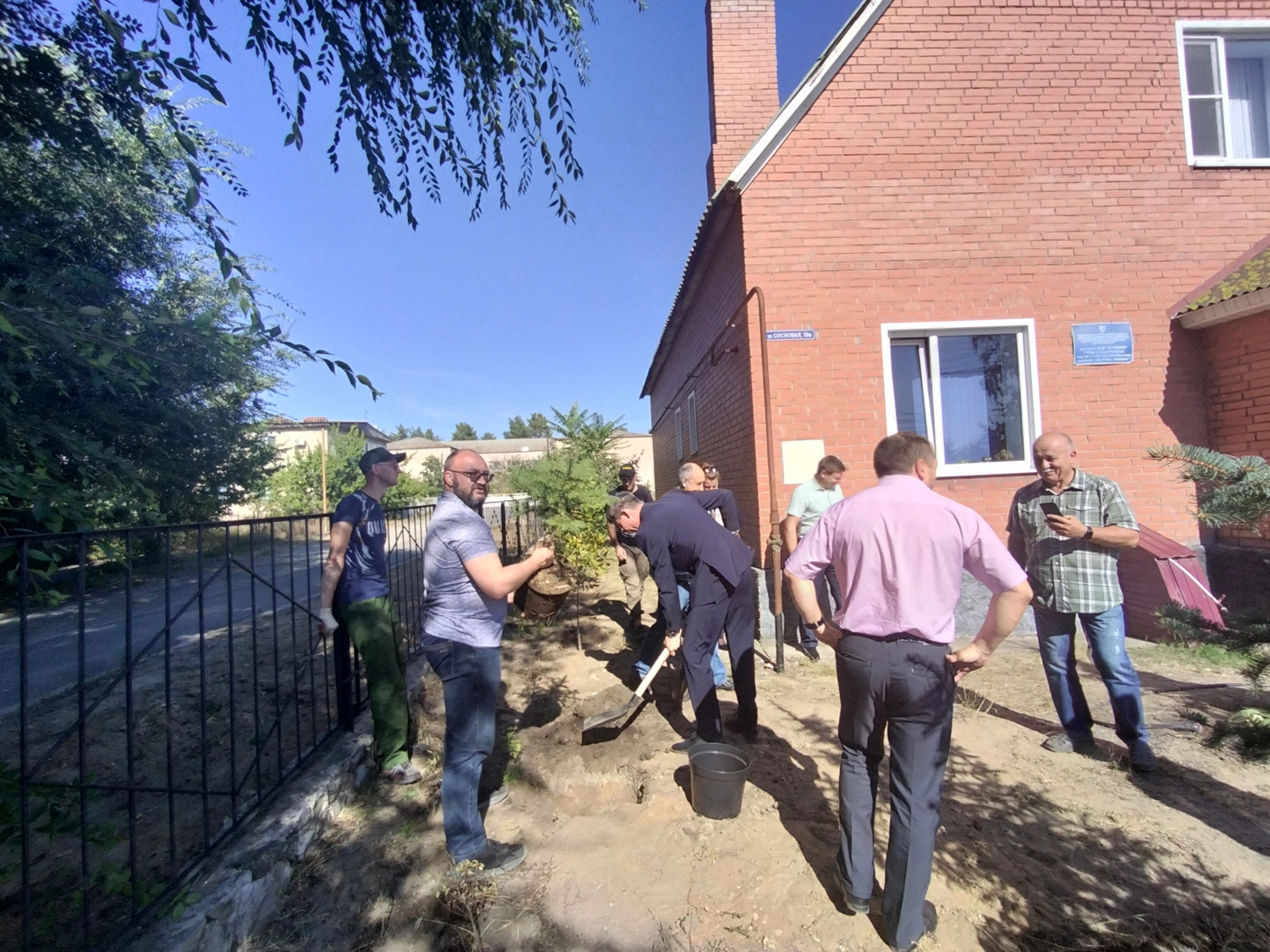 Посадка саженцев древесных пород