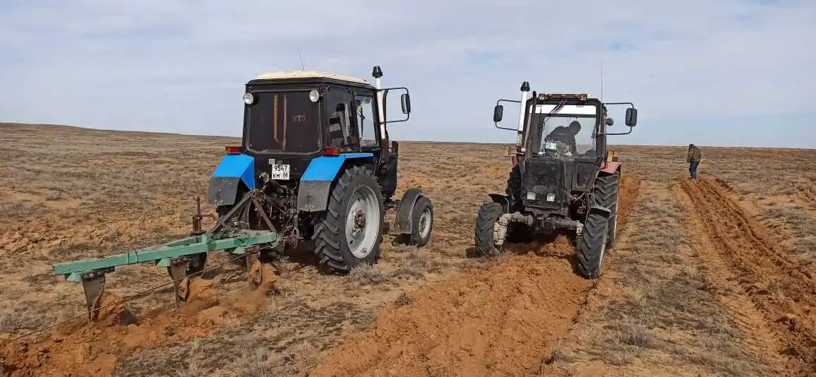 Обработка почвы и посадка опытных культур