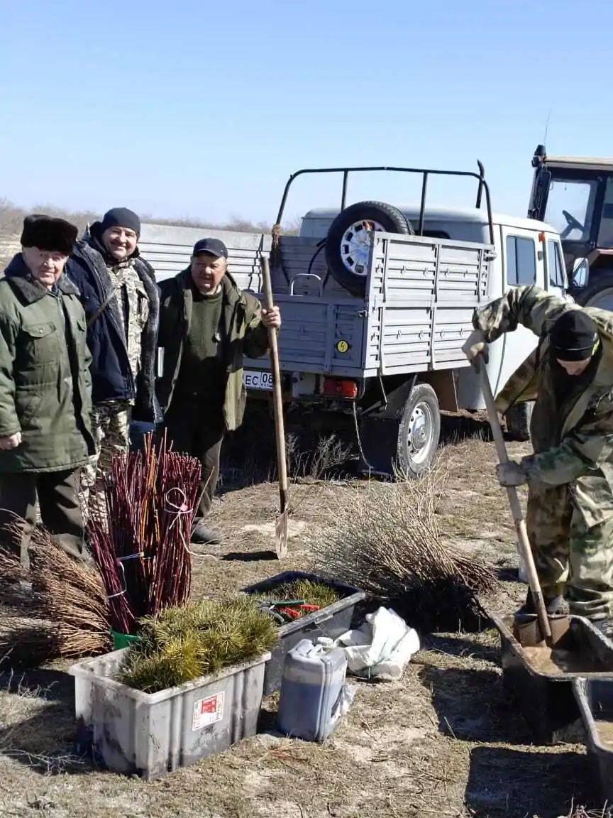 Подготовка глиняной болтушки для обмакивания корневых систем сеянцев
