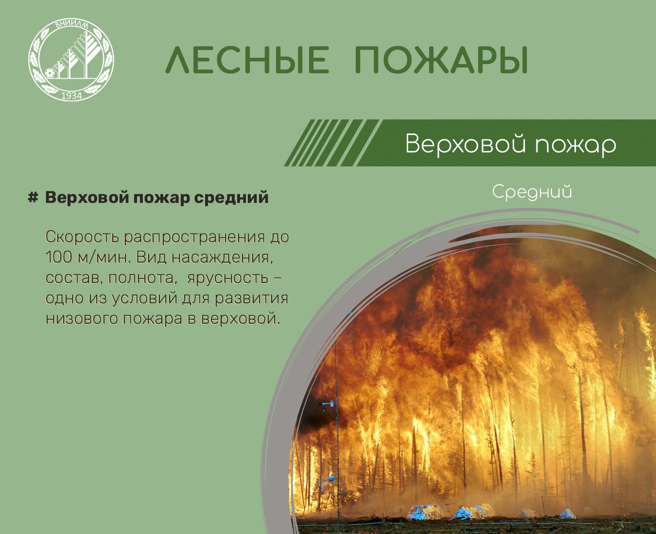 Верховой пожар средний