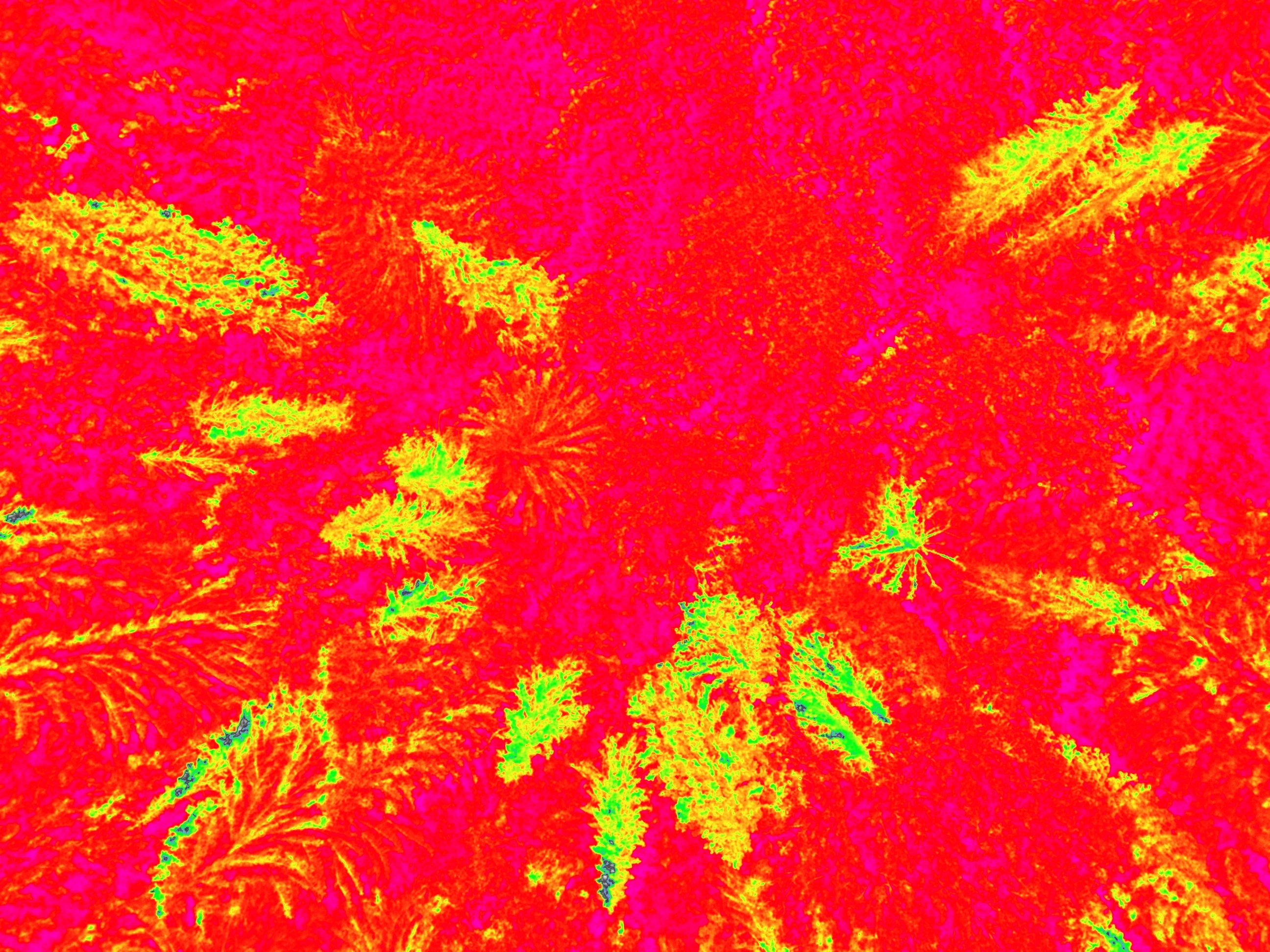 Получение NDVI индекса с помощью мультиспектральной камеры.