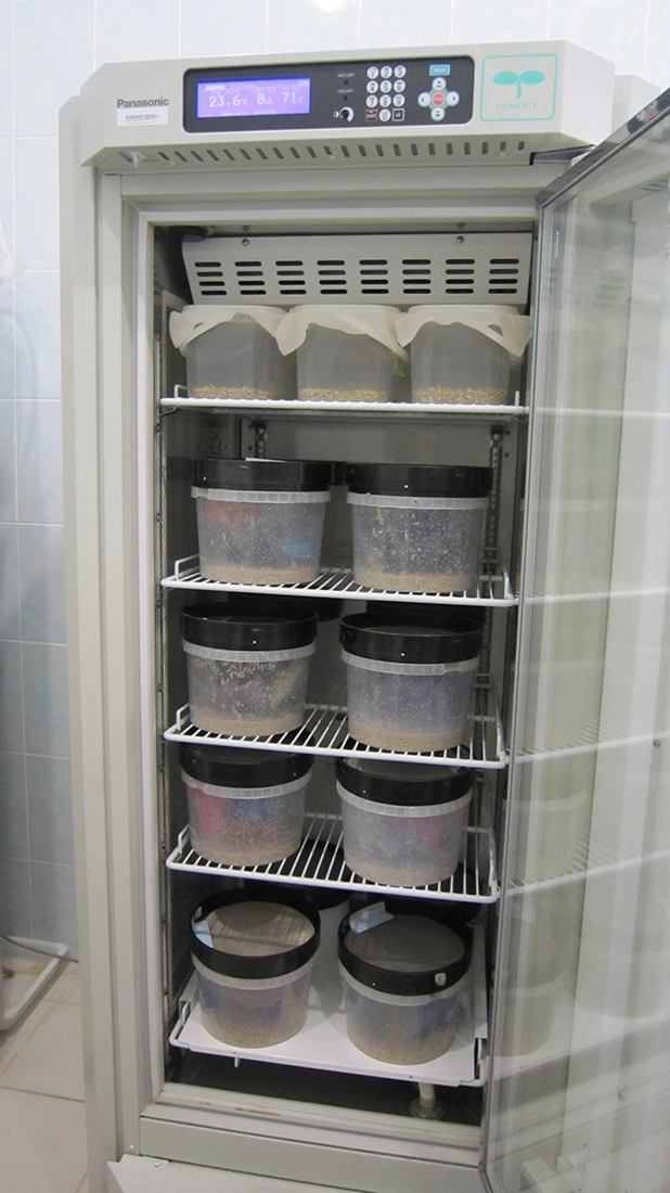 Содержание насекомых в климатическом шкафу