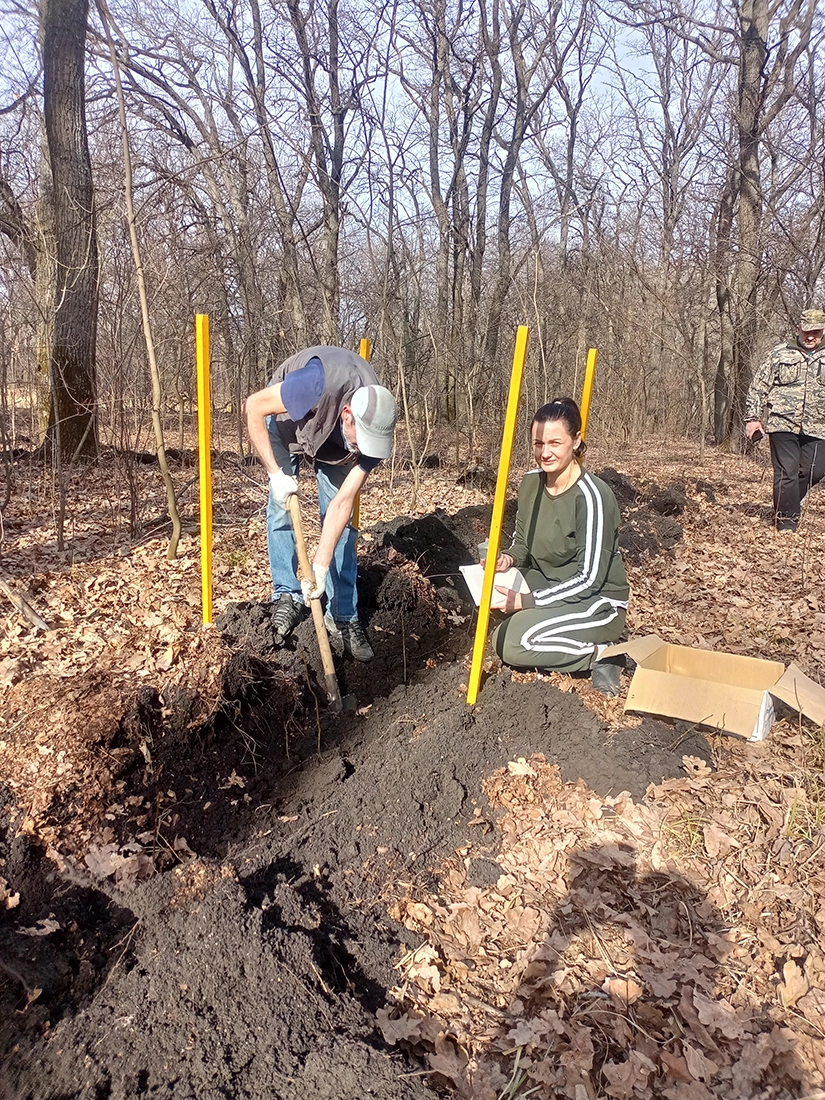 Взятие почвенных образцов для определения влажности