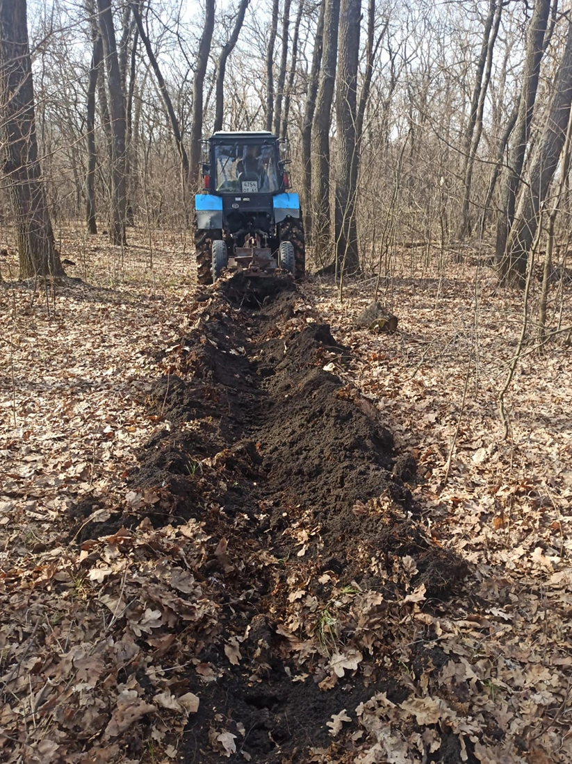 Подготовка почвы на опытном объекте под пологом дуба черешчатого