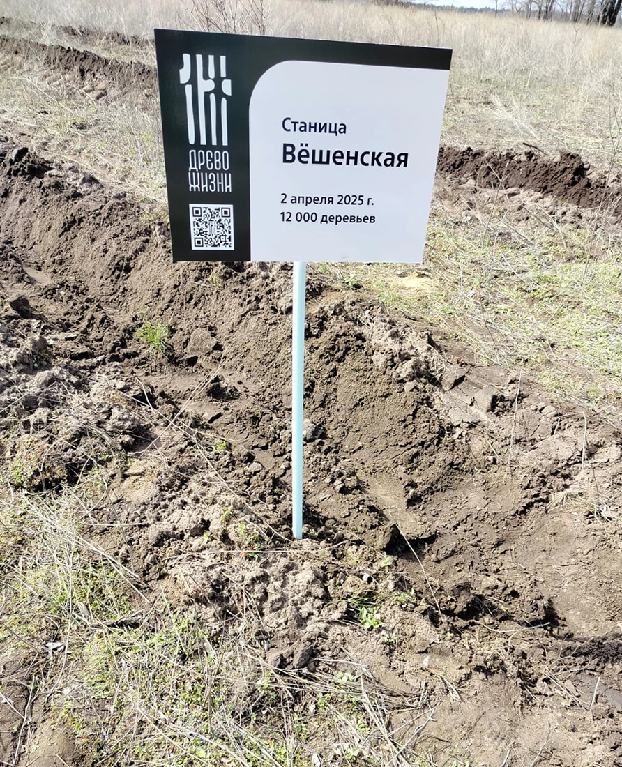 Посаженные культуры