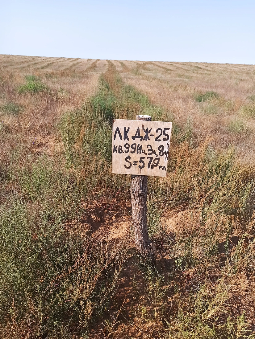 Прикумское участковое лесничество
